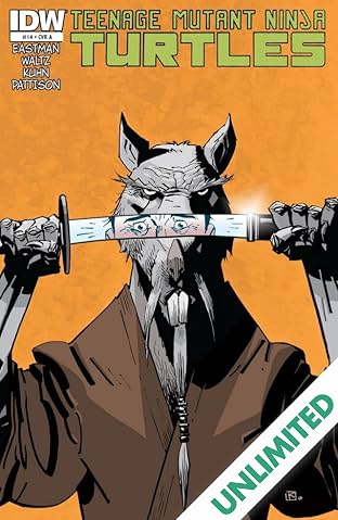 Teenage Mutant Ninja Turtles #14